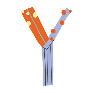 Y